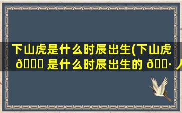 下山虎是什么时辰出生(下山虎 🐎 是什么时辰出生的 🕷 人)